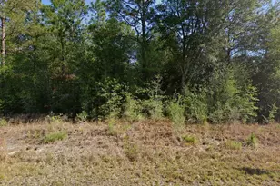 20313 SW Audubon Ave, Dunnellon, FL 34431 - Photo 1