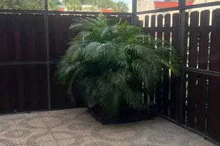 6322 Seven Springs Blvd, Greenacres, FL 33463 - Photo 15