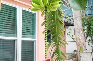 204 Coral Rd, Boynton Beach, FL 33435 - Photo 33