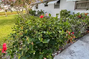 185 Valencia H, Delray Beach, FL 33446 - Photo 3