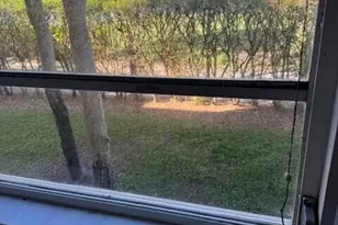 3521 Village Blvd, West Palm Beach, FL 33409 - Photo 7