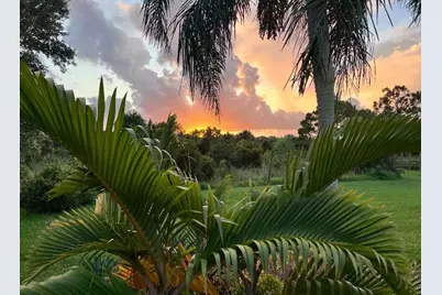 8256 SE Paurotis Lane, Hobe Sound, FL 33455 - Photo 77