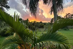 8256 SE Paurotis Ln, Hobe Sound, FL 33455 - Photo 77