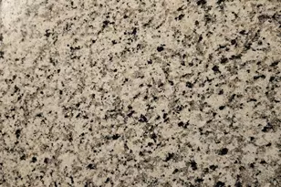 706 Sunny Pine Way, Greenacres, FL 33415 - Photo 7