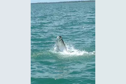 5220 Las Verdes Circle #312, Delray Beach, FL 33484 - Photo 57