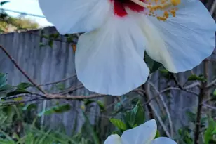 4026 SW Haycroft St, Port Saint Lucie, FL 34953 - Photo 29