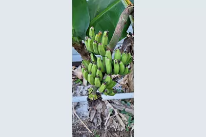 4026 SW Haycroft Street, Port Saint Lucie, FL 34953 - Photo 27