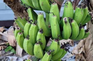 4026 SW Haycroft St, Port Saint Lucie, FL 34953 - Photo 27