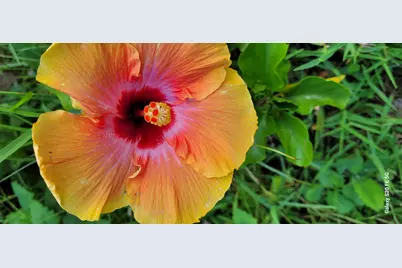 4026 SW Haycroft Street, Port Saint Lucie, FL 34953 - Photo 35