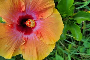 4026 SW Haycroft St, Port Saint Lucie, FL 34953 - Photo 35