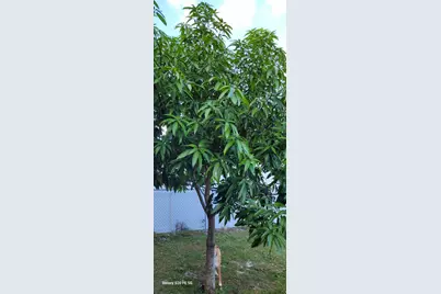 4026 SW Haycroft Street, Port Saint Lucie, FL 34953 - Photo 31