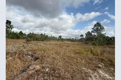 16375 NW 314th Street, Okeechobee, FL 34972 - Photo 3