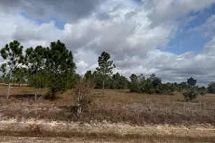 16375 NW 314th St, Okeechobee, FL 34972 - Photo 1