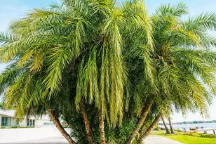 680 Memorial Dr, Sebring, FL 33870 - Photo 7