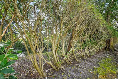 5015 Palmbrooke Circle, West Palm Beach, FL 33417 - Photo 47