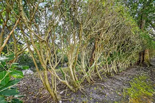 5015 Palmbrooke Cir, West Palm Beach, FL 33417 - Photo 47