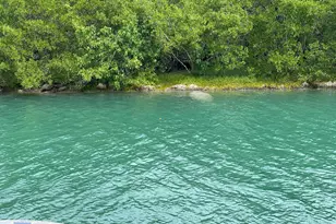 7204 Gulf of Mexico Blvd, Marathon, FL 33050 - Photo 9