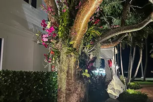 101 Palmetto Ln, West Palm Beach, FL 33405 - Photo 85