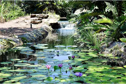 7945 SE Paurotis Lane, Hobe Sound, FL 33455 - Photo 49