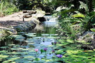 7945 SE Paurotis Ln, Hobe Sound, FL 33455 - Photo 49