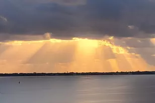 3105 SE Aster Ln, Stuart, FL 34994 - Photo 45