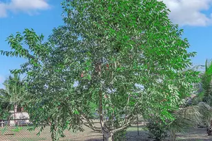 2485 SE Saphire Ter Terrace, Port Saint Lucie, FL 34952 - Photo 63