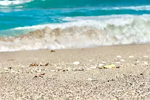 5400 N Ocean Dr, Singer Island, FL 33404 - Photo 9