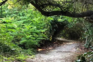 2805 N Hwy A1A, Fort Pierce, FL 34949 - Photo 33