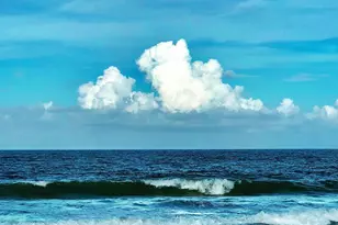 2805 N Hwy A1A, Fort Pierce, FL 34949 - Photo 39