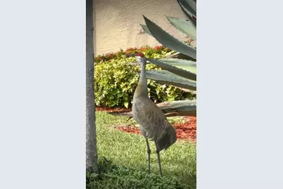 9391 Bridgeport Drive, West Palm Beach, FL 33411 - Photo 45