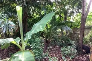 424 59th St, West Palm Beach, FL 33407 - Photo 35