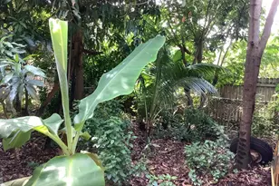 424 59th St, West Palm Beach, FL 33407 - Photo 33