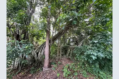 9538 171st Street N, Jupiter, FL 33478 - Photo 13