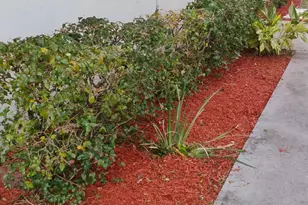 3425 Grace Ave, Palm Springs, FL 33461 - Photo 3