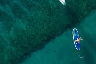 6381 Bay Club Dr, Fort Lauderdale, FL 33308 - Photo 53