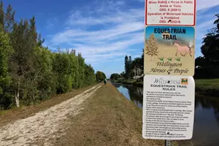 930 Rambling Dr Cir, Wellington, FL 33414 - Photo 49