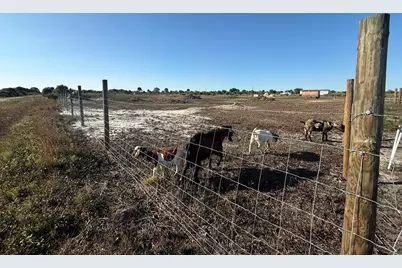 21377 NW 276th Street, Okeechobee, FL 34972 - Photo 9