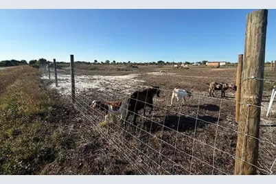 21377 NW 276th Street, Okeechobee, FL 34972 - Photo 9