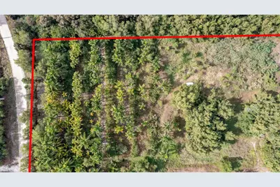 20199 Cole Lane, The Acreage, FL 33470 - Photo 5