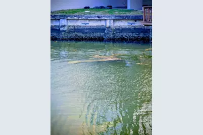 777 S Federal Highway #D103, Pompano Beach, FL 33062 - Photo 21