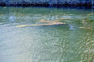 777 S Federal Hwy, Pompano Beach, FL 33062 - Photo 21