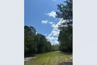 423 NW Bright Lake Court, White Springs, FL 32096 - Photo 29