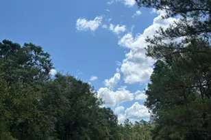 423 NW Bright Lake Ct, White Springs, FL 32096 - Photo 29