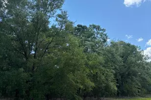 423 NW Bright Lake Ct, White Springs, FL 32096 - Photo 27
