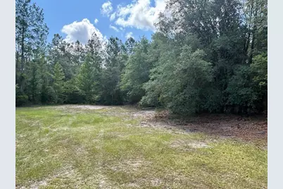 423 NW Bright Lake Court, White Springs, FL 32096 - Photo 25