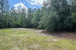 423 NW Bright Lake Ct, White Springs, FL 32096 - Photo 25