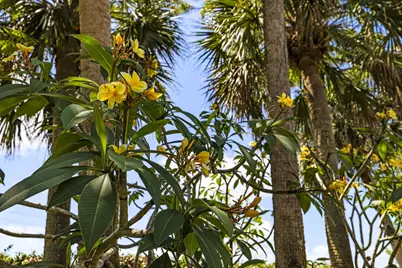 8785 Thousand Pines Circle, West Palm Beach, FL 33411 - Photo 47