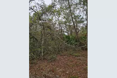 35485 NE 7th Drive, Okeechobee, FL 34972 - Photo 29