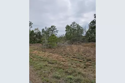 35485 NE 7th Drive, Okeechobee, FL 34972 - Photo 33