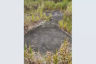 35485 NE 7th Drive, Okeechobee, FL 34972 - Photo 11